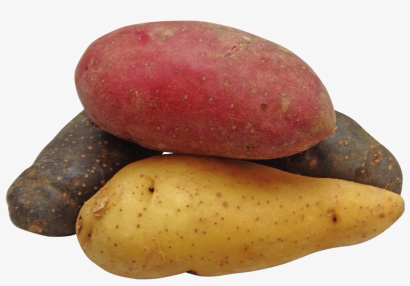 The Foams For The Study Were Made From Potato Starch, - Potatoes Png, transparent png