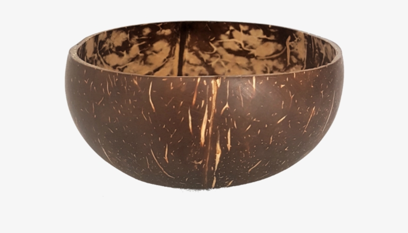 Coco Cove Single Polished Coconut Bowl - Coconut Bowls, transparent png