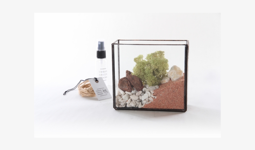 Urban Green Makers Glass Terrarium, transparent png