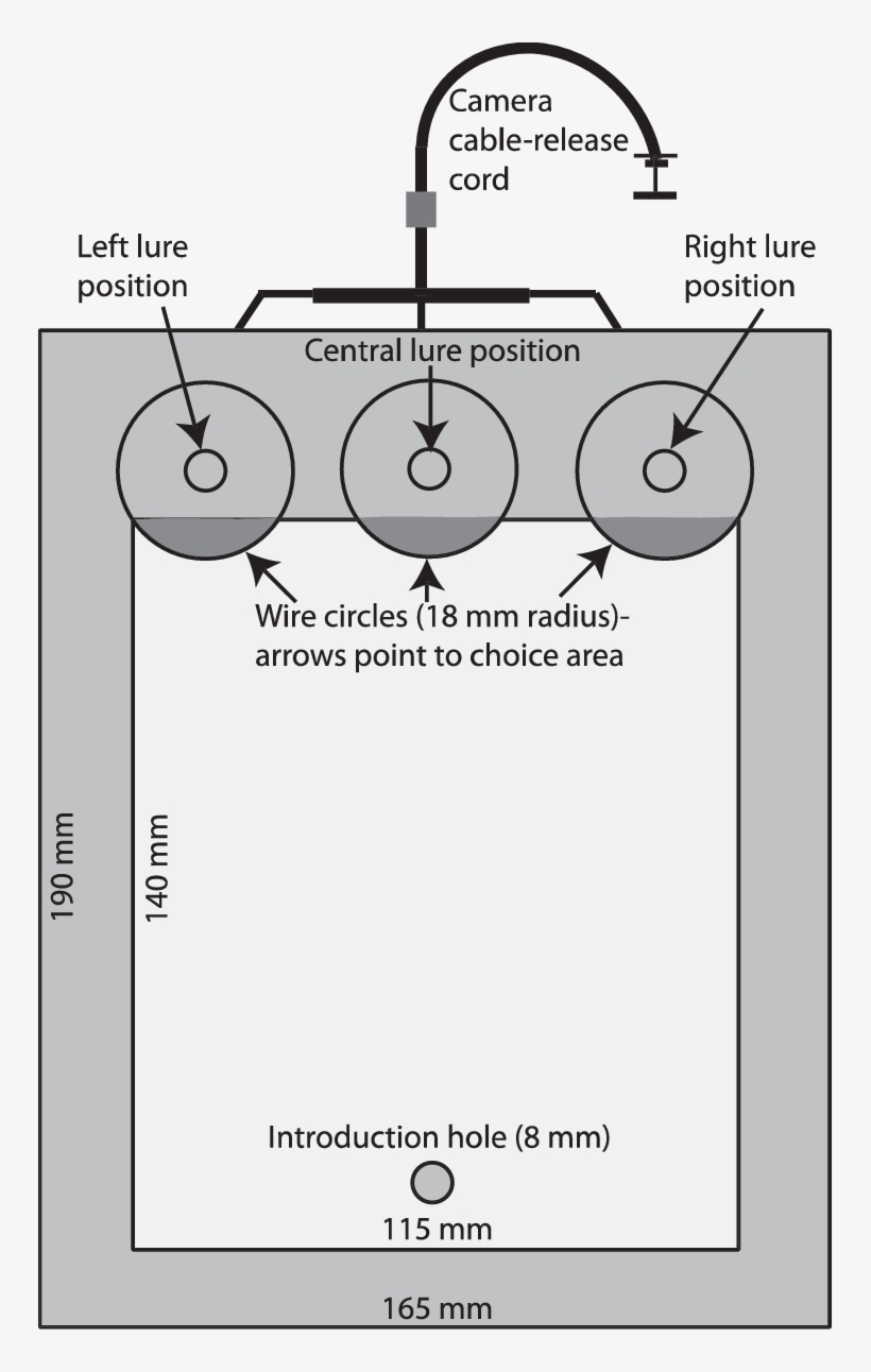 Rectangular Glass Box With Glass Lid, Sitting On Top - Diagram, transparent png