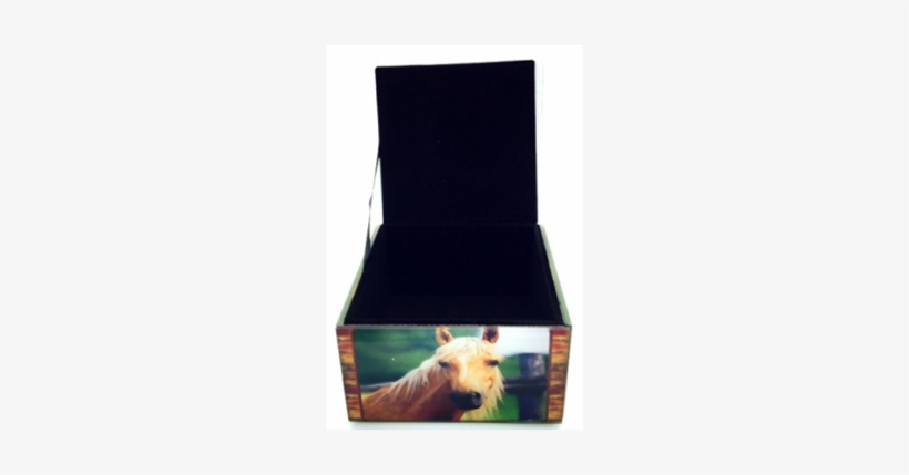 Glass Box - Horse 10x10x6cm - Grizzly Bear, transparent png