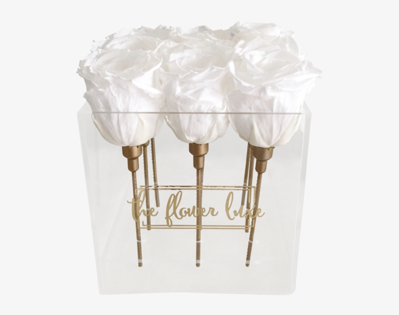 Glass Box The Flower Luxe 720x720 PNG Download PNGkit
