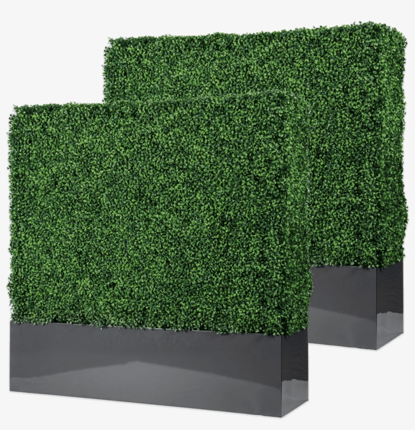 Baxter Contemporary Free Standing Boxwood Hedge With Artificial