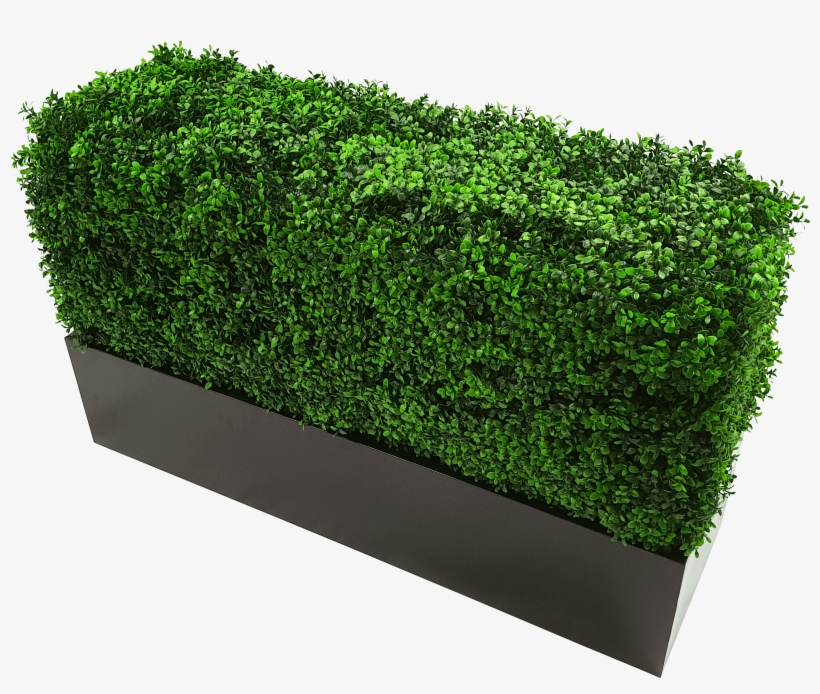 Metal Planter For Artificial Hedges, transparent png