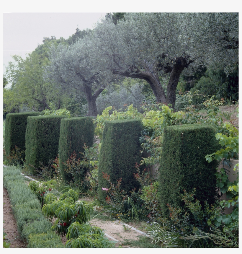 A Louis Benech Masterpiece - Mas Sainte Anne Tropez, transparent png