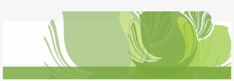 Tree, transparent png