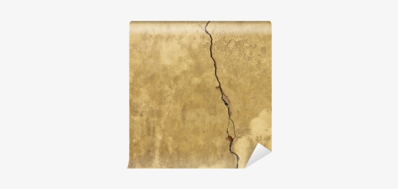 Paper, transparent png