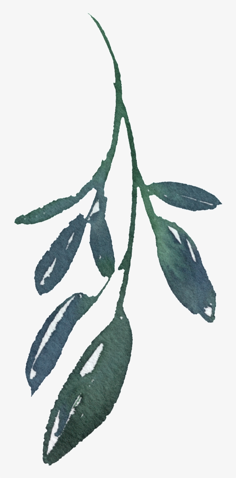 Hand Painted A Bamboo Leaf Png Transparent - Portable Network Graphics, transparent png
