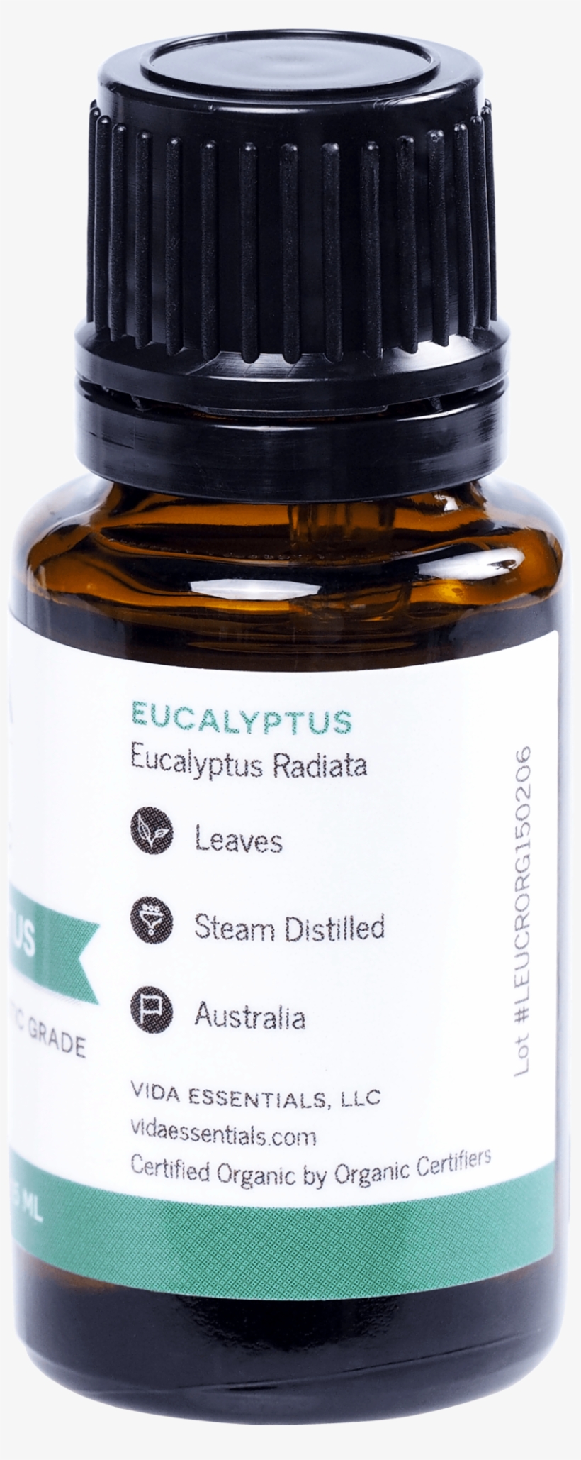 Eucalyptus - Essential Oil, transparent png