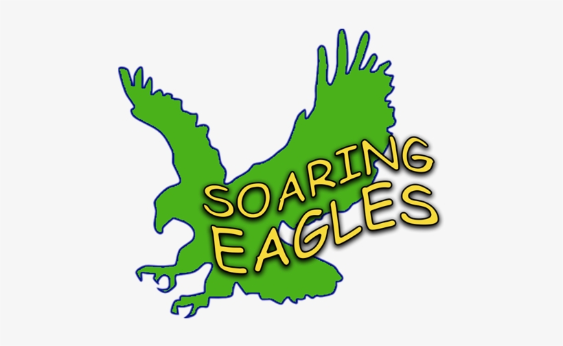 Eagle Clip Art, transparent png