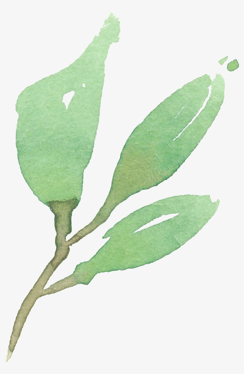 Green Leaves 04 - Leaf, transparent png