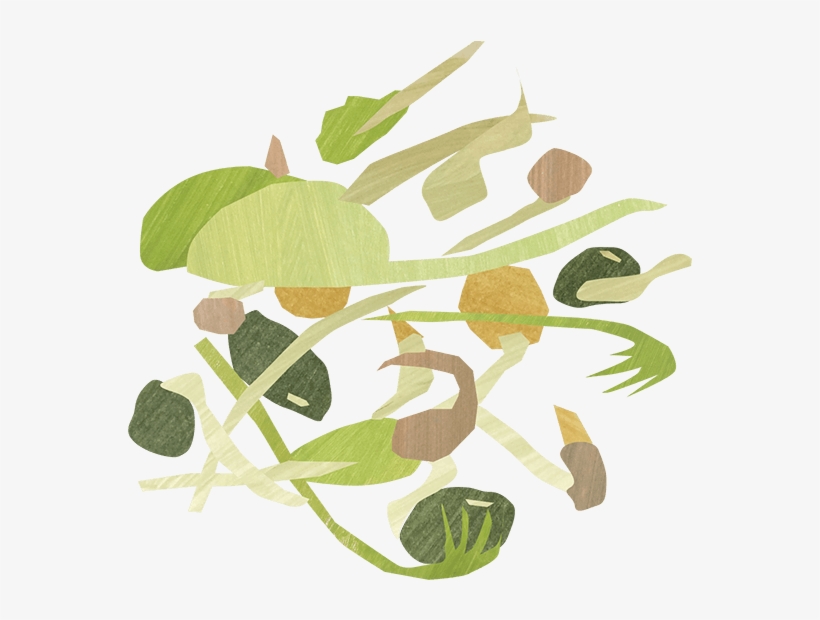 Illustration, transparent png