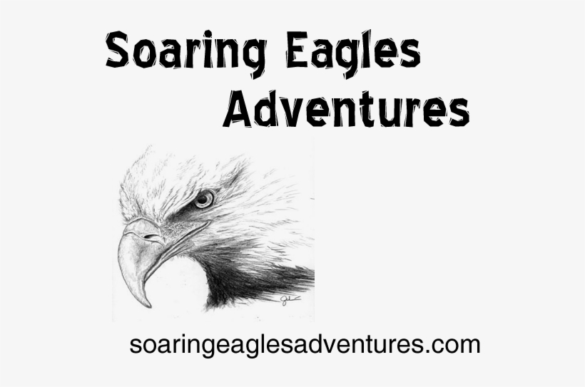 Soaringeaglelogo - Northern California Eagles Sticker (rectangle), transparent png