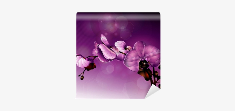 3d Dark Pink Orchid Flower Illustration Wall Mural - Orchids, transparent png