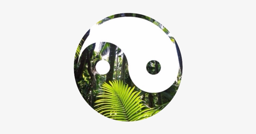 Tropical Tumblr Overlays, transparent png