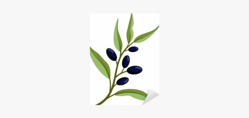 Olive Silhouette, transparent png