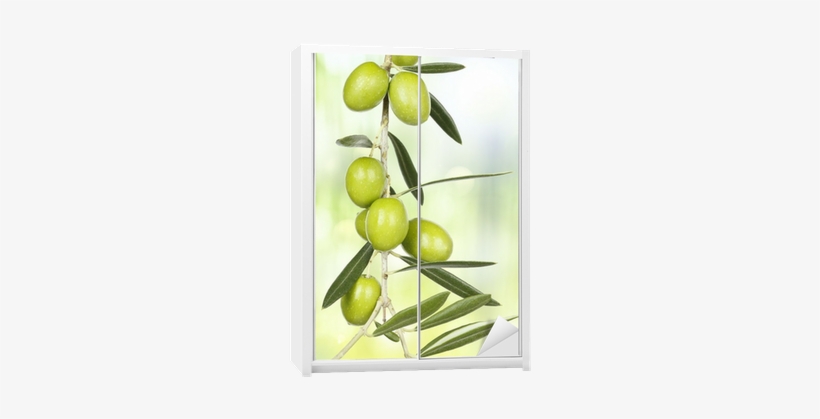 Olive, transparent png
