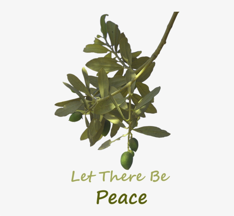 Click And Drag To Re-position The Image, If Desired - Plant Peace Daily: Everyday Outreach For People, transparent png