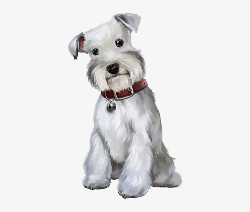 Фото, Автор Иришка-манюшка На Яндекс - Pintura De Schnauzer, transparent png