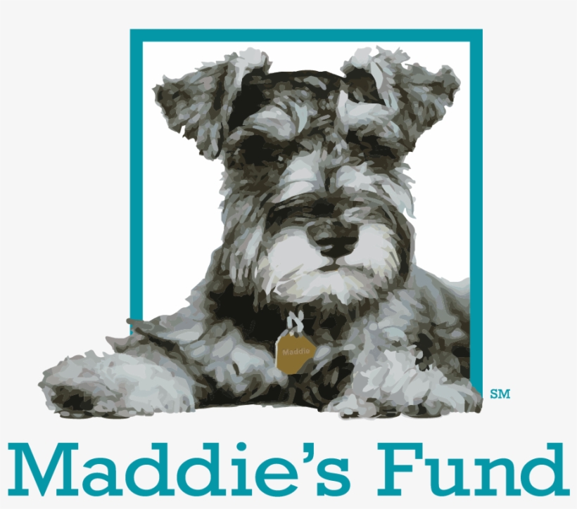 Maddie's Fund, transparent png
