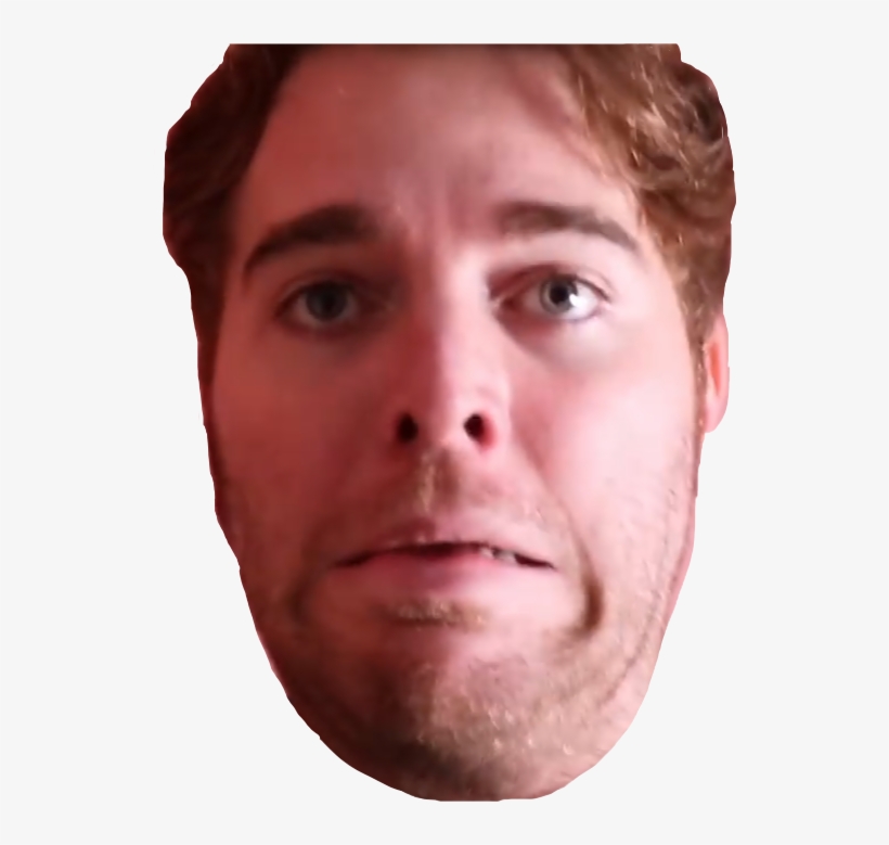 Report Abuse - Shane Dawson No Background, transparent png