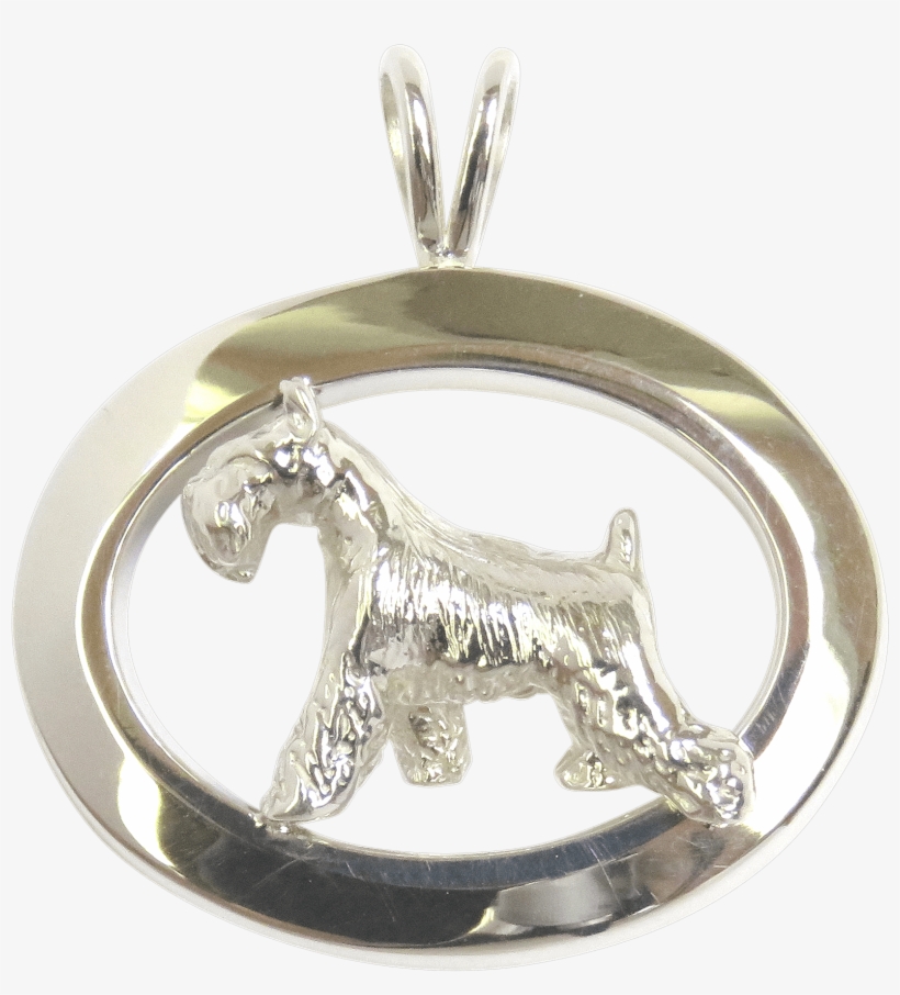Miniature Schnauzer Oval Jewelry - Charms & Pendants, transparent png