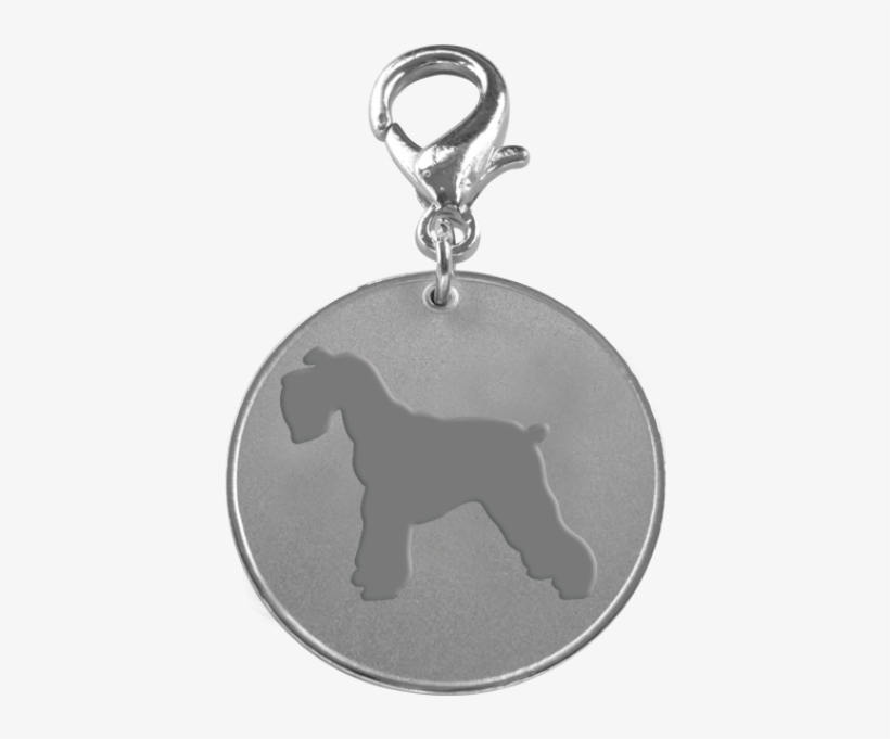 Pet, transparent png