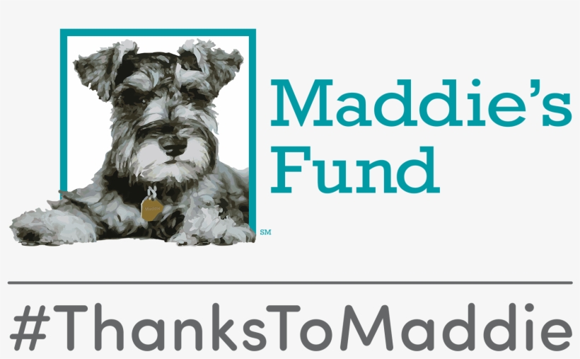 Maddies Fund, transparent png
