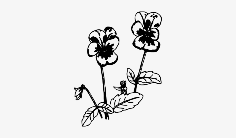 Pansy Clipart - Black And White Pansies Png, transparent png
