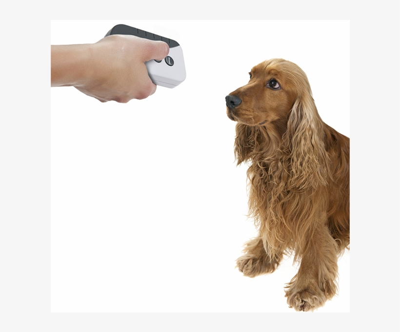 Barkstopper Ultrasonic & Audible Hand Held Bark, transparent png