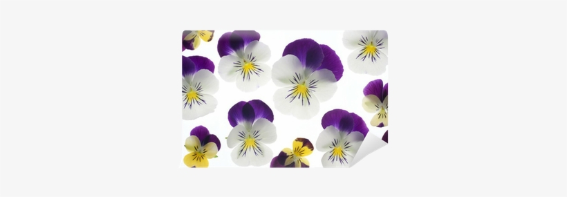 Art, transparent png