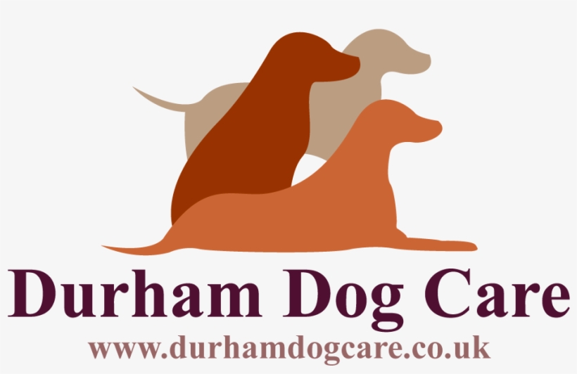 Durham Dog Training - Beyond The Blank Pages, transparent png