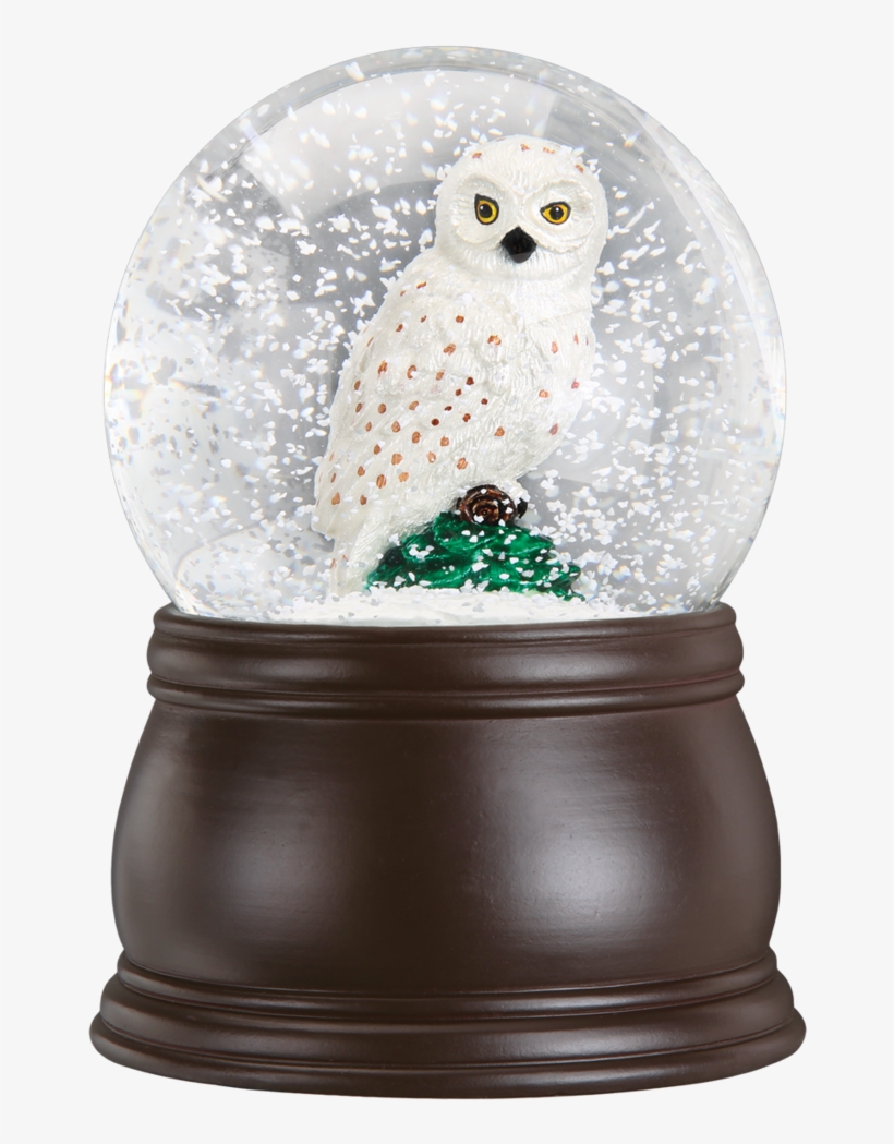Great White Owl Snow Globe - Snow Globe, transparent png