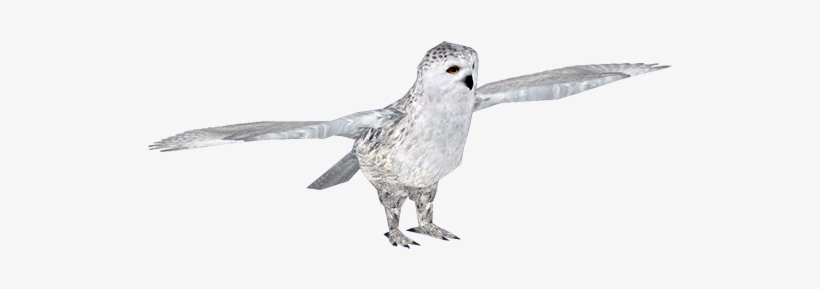 Snowyowl - Zt2 Download Library Owl, transparent png