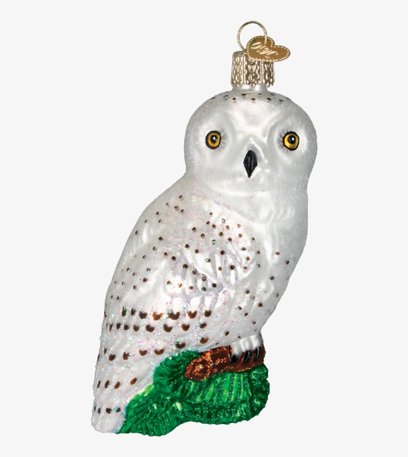 Owl Ornament, transparent png