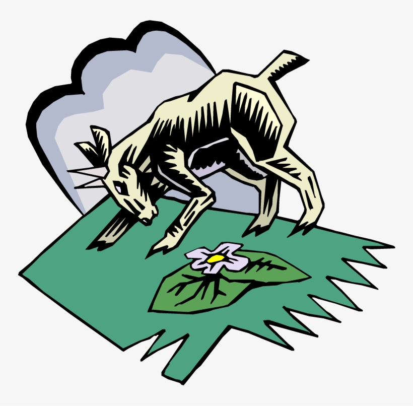 Boer Goat Clipart » Neoclipart - Clip Art, transparent png