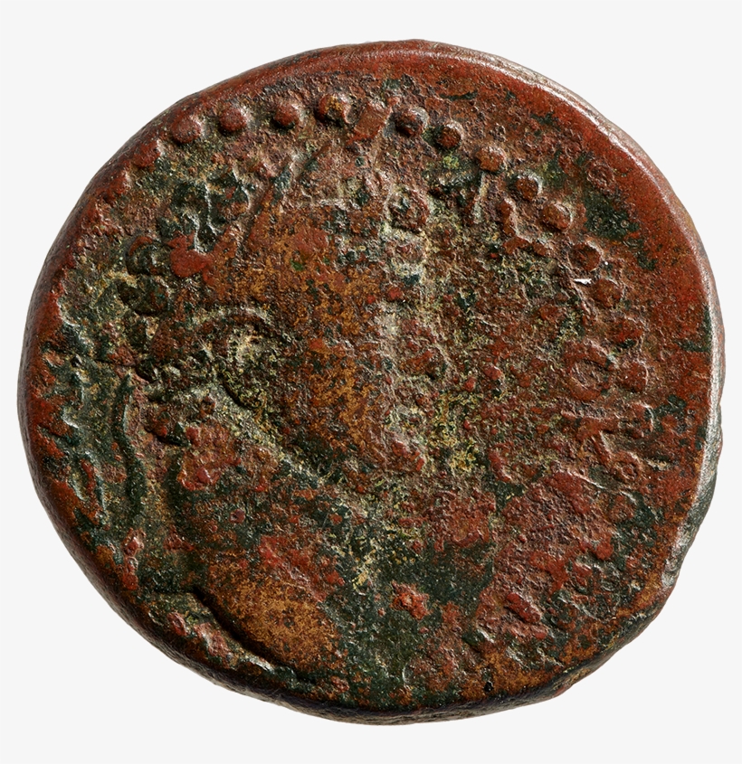 Bust Of Titus With Laurel Wreath - Coin, transparent png