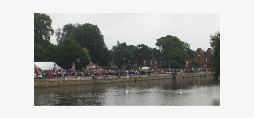 Olympic Torch Relay Crowds Along The Embankment In - Tree, transparent png