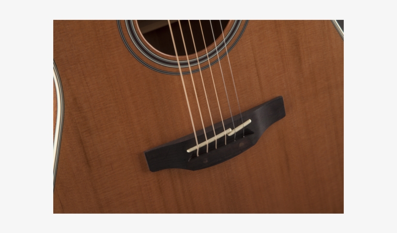 Takamine - Takamine Guitars, transparent png
