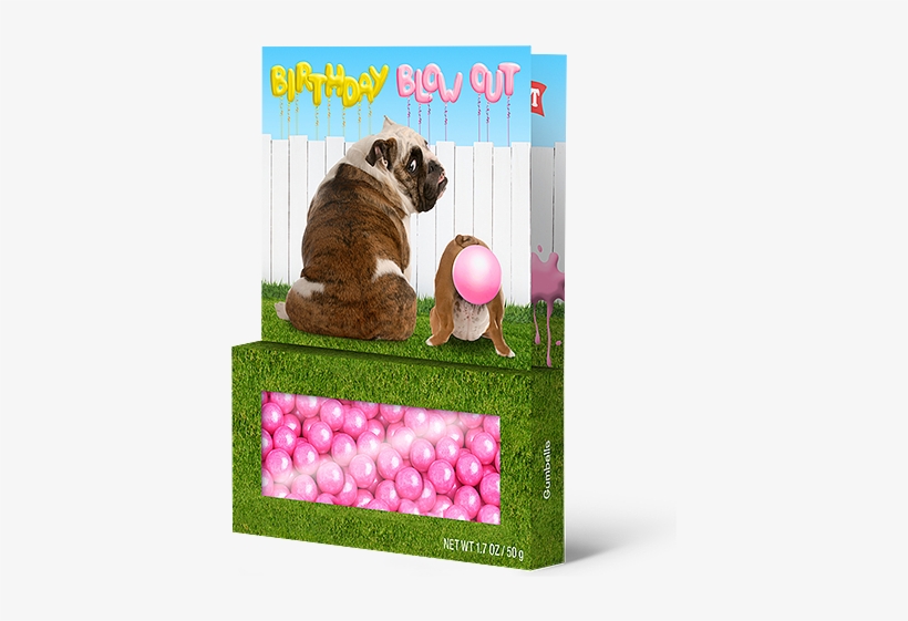 Treeting Cards "birthday Blow Out" Greeting Card With - Greeting Card, transparent png