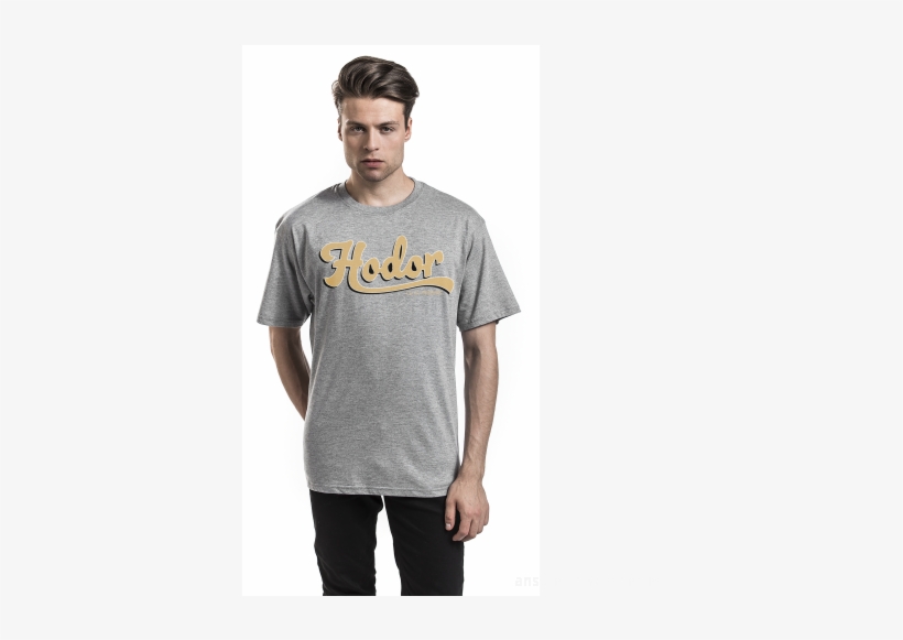 Jurassic World 2 T Shirt Grey, transparent png