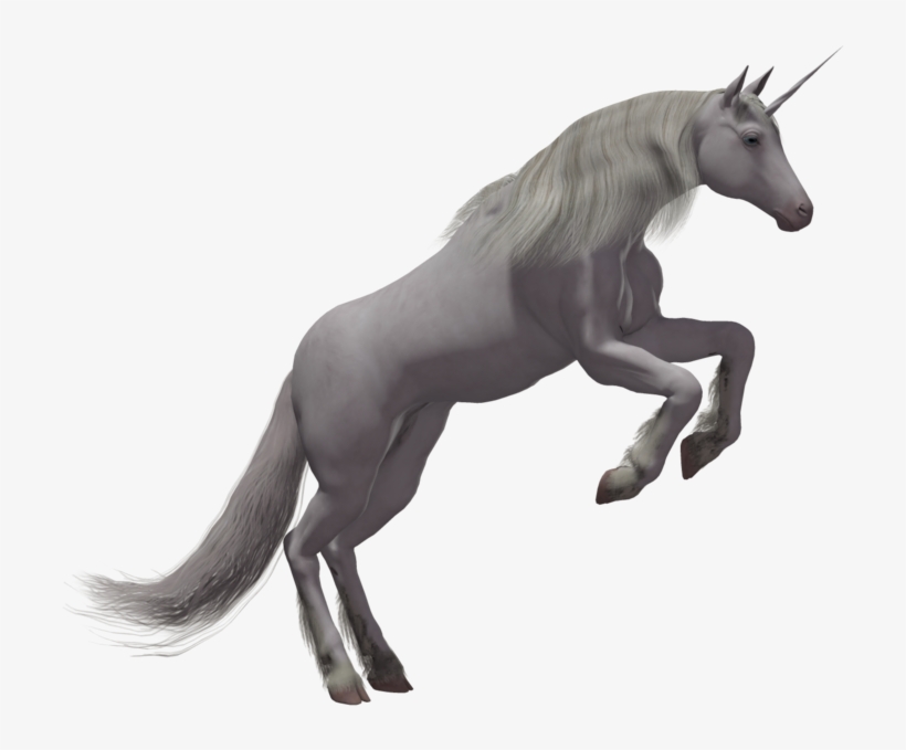 Unicorn, transparent png