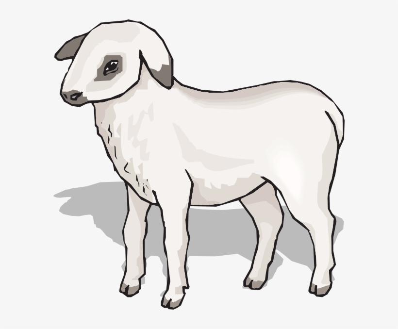 Lamb Svg Clip Arts 600 X 598 Px, transparent png