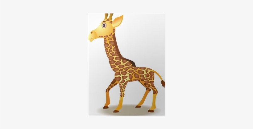 Giraffe, transparent png