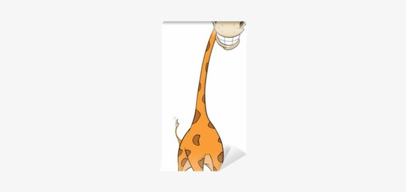 Giraffe, transparent png