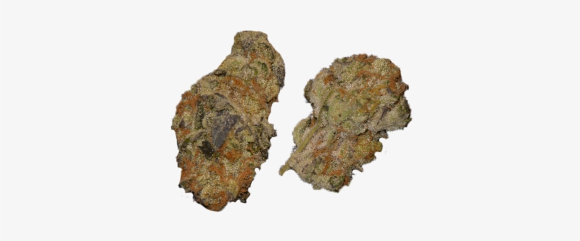 Girl Scout Cookies - Rock, transparent png
