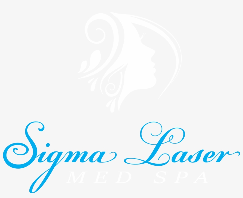 Logo Logo Stick - Laile Turgut Elibol Sıradışı Akademi Yayınları, transparent png