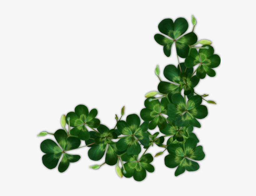 3233111 - Saint Patrick, transparent png