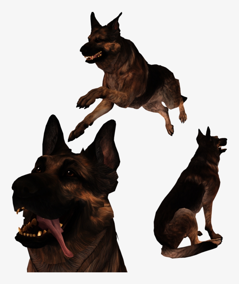 [mmd] Fallout 4 Dogmeat By Mist Of Wind Fallout, Mists - Fallout 4 Dogmeat Png, transparent png