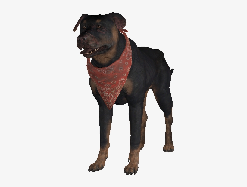 Guard Dog - Portable Network Graphics, transparent png
